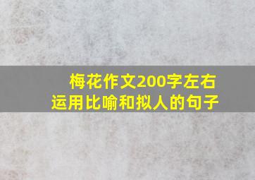 梅花作文200字左右 运用比喻和拟人的句子